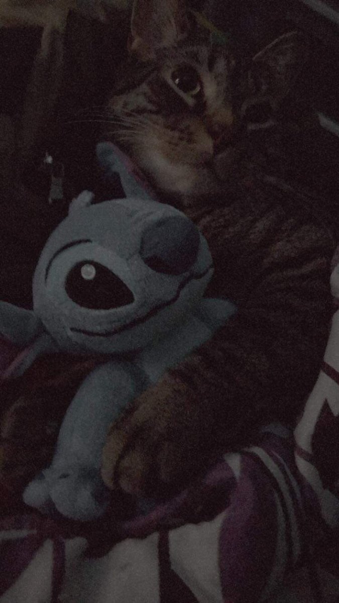 ASPIRINGMODEL20's tweet image. Abel and his mini stitch 🤧🥺♥️