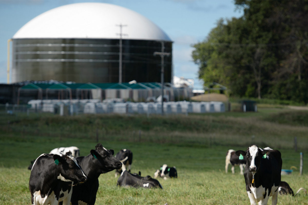 NCF_cares's tweet photo. Biogas is making big waves in sustainability.  Waste converted into biogas can be used to power industries, households, and vehicles with a smaller environmental footprint!  #sustainablesaturday

#sustanability #conservation #savetheearth #didyouknow #savetheplanet #recycle https://t.co/hEJGzLu49I
