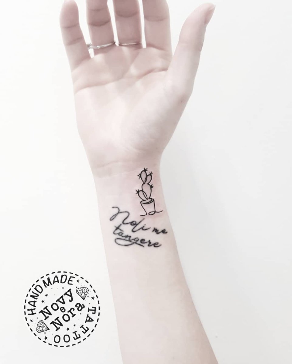 novy_tattoo's tweet photo. Noli me tangere 🌵
#nonmitoccare #nolimetangere #cactus #cactustattoo #linetattoo #line #donottouchme #latin #girlink #cactuslover #spinosa #prickly #tattooedgirl #inkedgirl #handmadetattoostudio #carpi #ink #art #tattoo #littletattoo #tiny #🌵 https://t.co/HcIIG9teC4