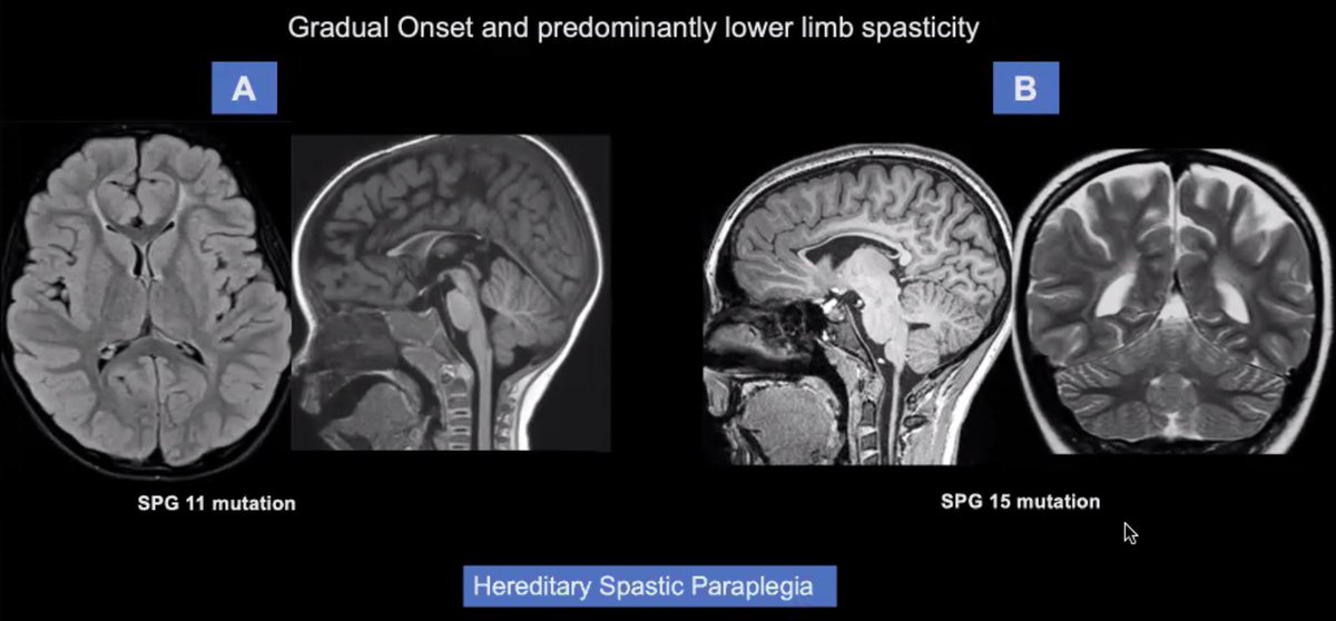 Dr Kish Mankad tweet media