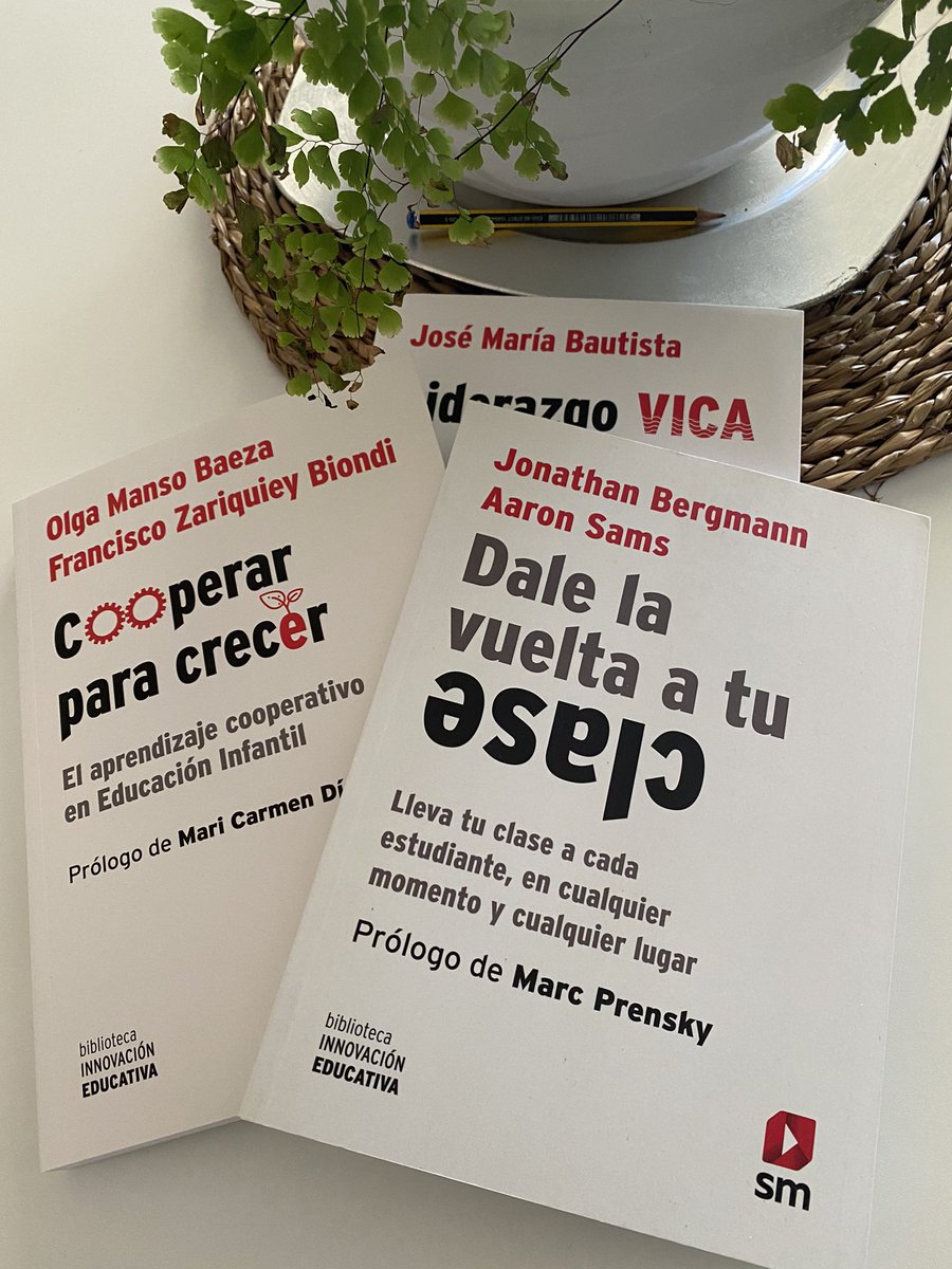 SusanaMoure's tweet image. Lo reconozc desps de los 9 libros q llevo en 🏖 ahora toca a los q m llenan ♥️, en mi día a d en l aula , con mis Nubecitas. Tod siempr para ellos . #bibliotecainnovacioneducativa @SM_Espana #dalelavueltaatuclase @JonathanBergman #cooperarparacrecer #liderazcovica @jmbautista2