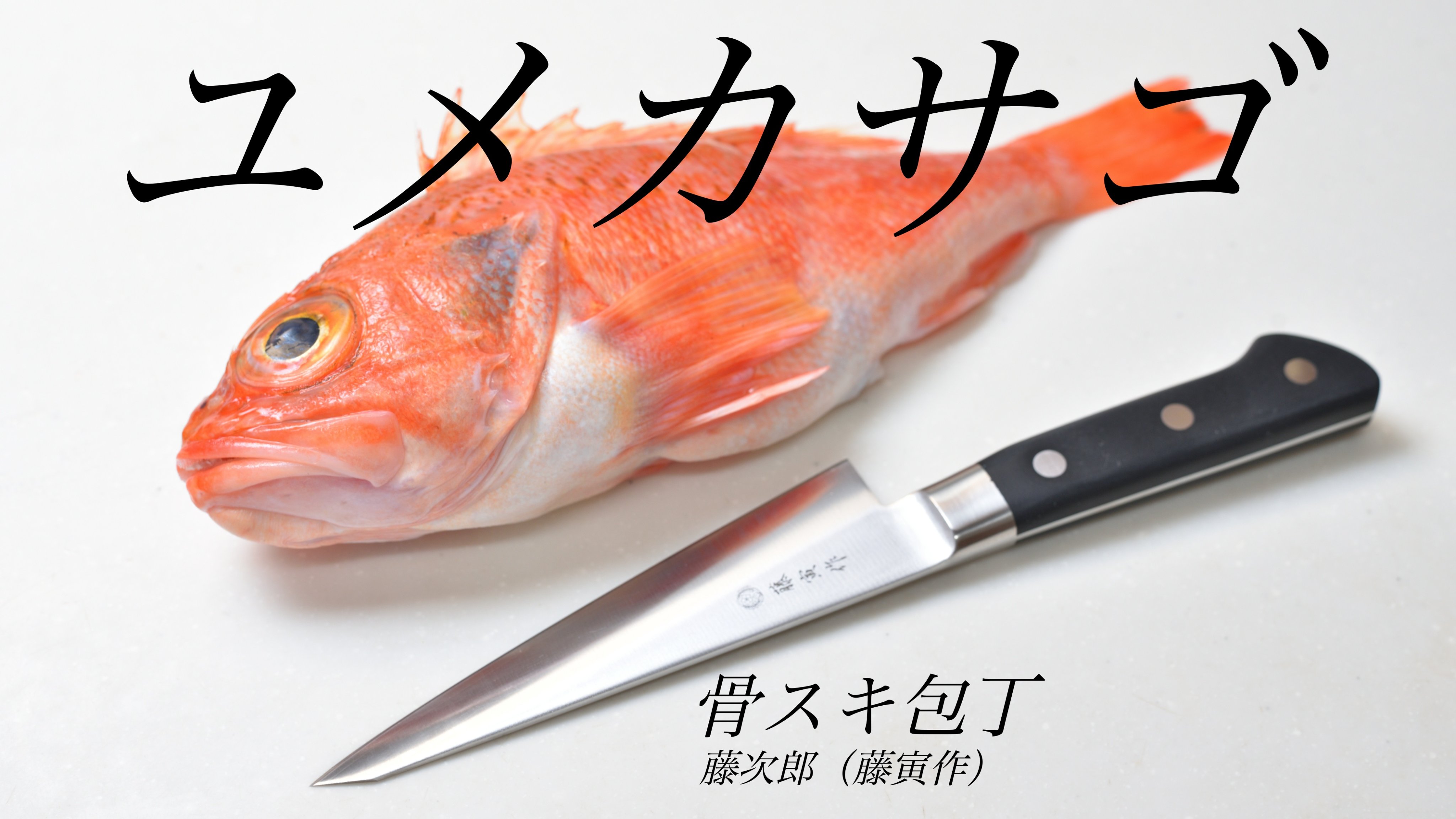 バッシー 今日ものんびり魚さばき Nonbiri Sakana Twitter