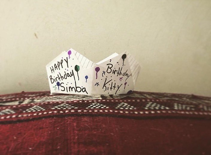 Spirit_Session's tweet image. Happy birthday to our amazing little fur baby Simba.  My guy ❤️ 

Birthday shout out to Harry Potter! 
Marathons all weekend 🤘🏻.