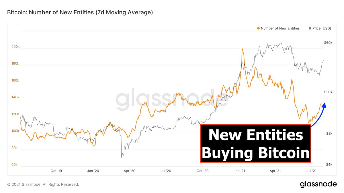 Bitcoin adoption rate is 🚀 910k new entities entering the market each week.