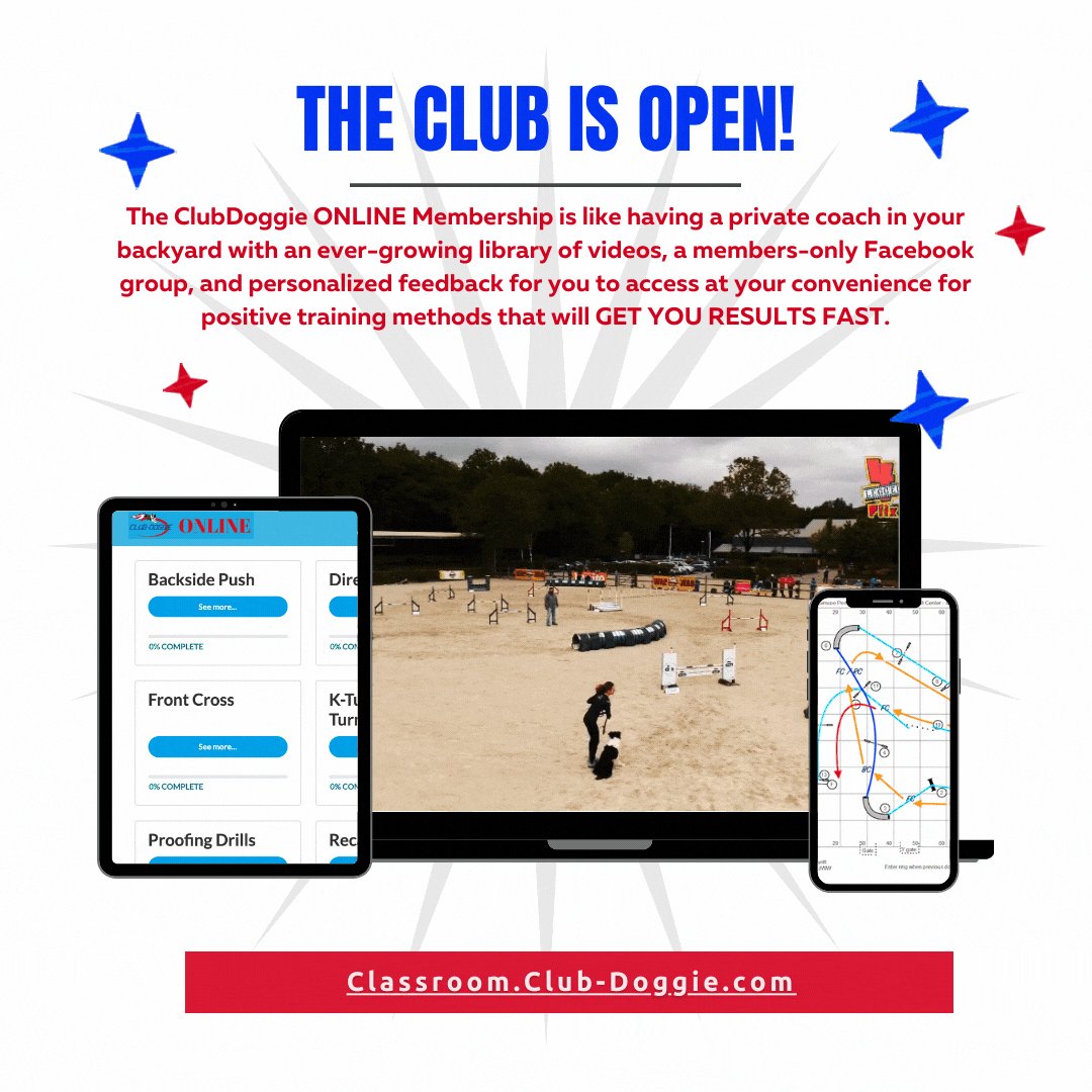 KamaAgility's tweet photo. The Club closes at midnight... - https://t.co/MR2lmurXXU https://t.co/7VkQVx0Rjq