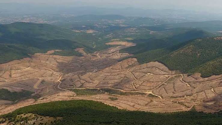 guvenislamoglu's tweet photo. İklim değişikliğini yıkıcı etkisi yangınla başlar. Orman yangınları artar,günlerce sürer, binlerce ton co2 atmosfere salınır ve dünya daha da ısınır. 
İklim krizini kabul edin yoksa herseyi kaybederiz. Dikilecek fidanlar bizi kurtarmaz.  Kalanları korumamız şart. https://t.co/Aqsf15AtgG