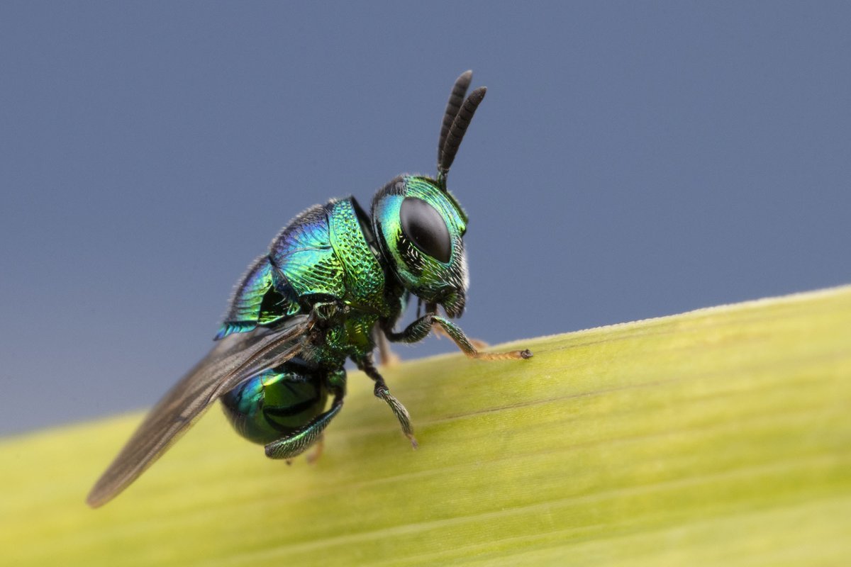 Sean McCann tweet media