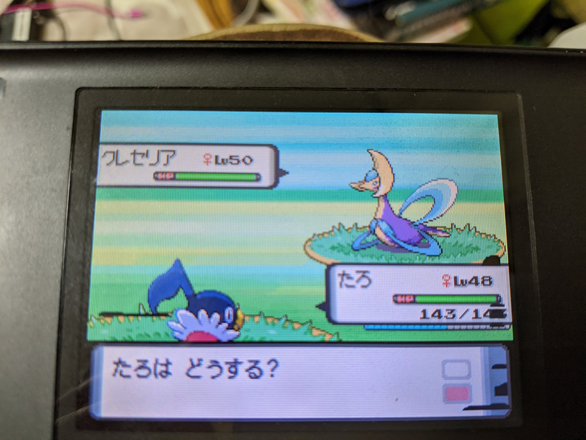 Acky 色違いクレセリア来たー ペラップが戦闘に出ているし Dsライトでプレイしているせいで乱数調整に見える ポケモン ダイパ 色違い クレセリア T Co Dhcivhf3sr Twitter