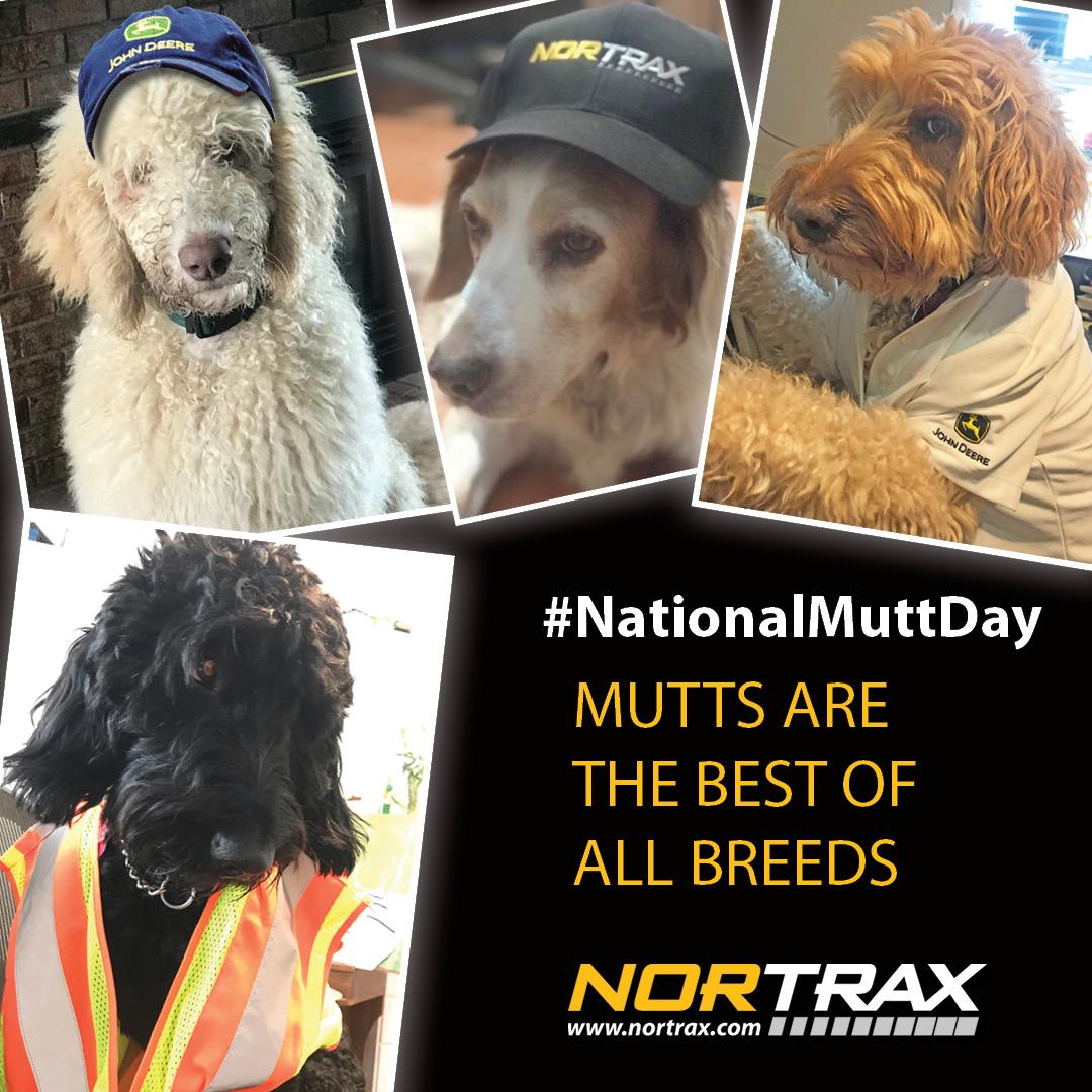 United Construction & Forestry on Twitter "National Mutt Day, or