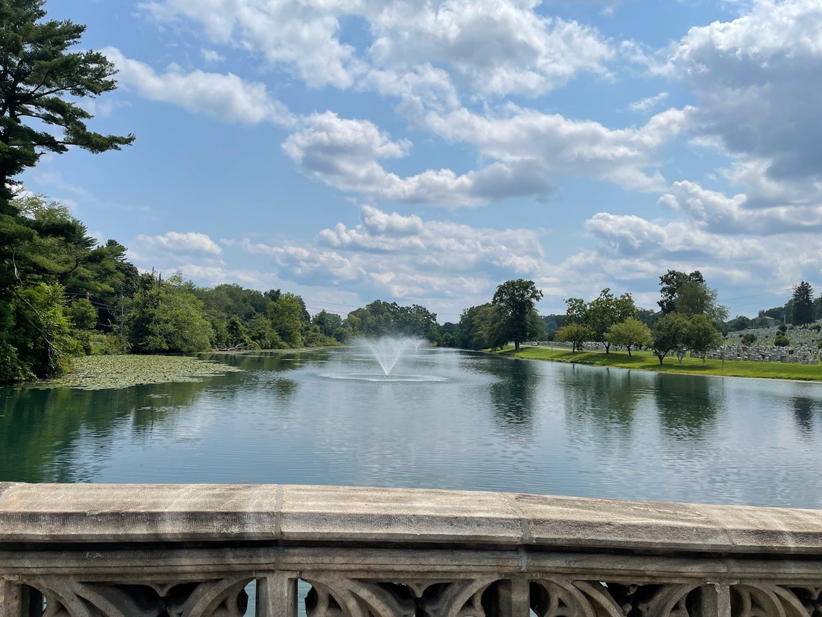 Make a statement with adding multiple fountains for larger ponds!

#gatesofhaven #nyponds #pondviewing #newyorkponds #pondfountains #wateraeration #watermanagementsolutions #fountainpond #aeratingseason #pondwaterquality #pondwater #newyorkliving