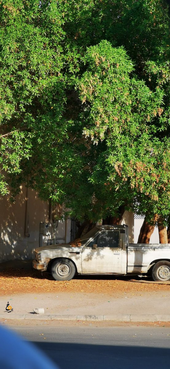 P30Photographer's tweet photo. #قديمك_نديمك
#مساءالخير
#مصورين_محترفين https://t.co/7c1GU1UO7A