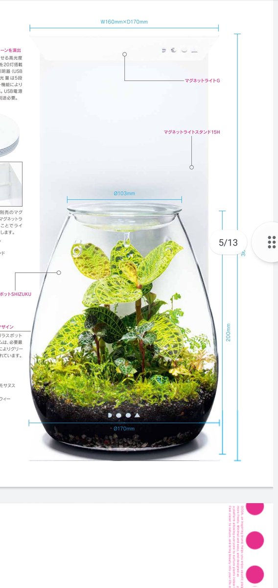 インテレッセ tweet media