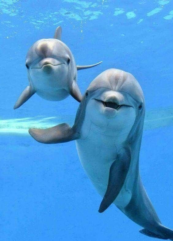 Good Morning 💙