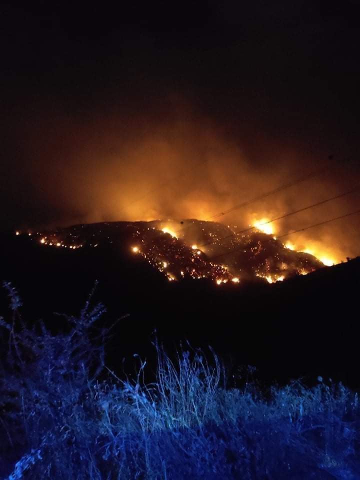 #البليدة بفضل التدخل السريع لمصالح الغابات واعوان الحماية المدنية, تمت السيطرة على الحريق الذي نشب اليوم السبت 31 جويلية 2021 بغاية واد أبرار بلدية الشريعة ولاية البليدة.
m.facebook.com/story.php?stor…