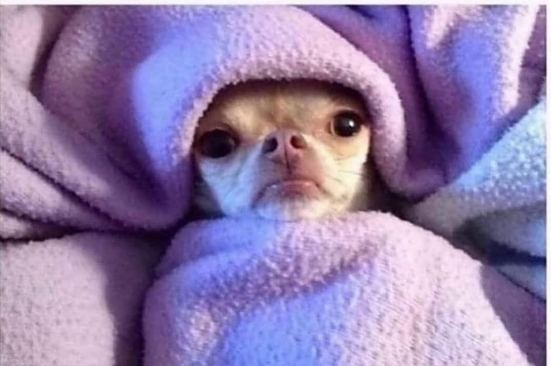 teachergoals's tweet photo. What are your plans this weekend?

Me: Probably some cleaning, preparing for school, and running some errands. 

Also me: https://t.co/ZDVHN1dPXy