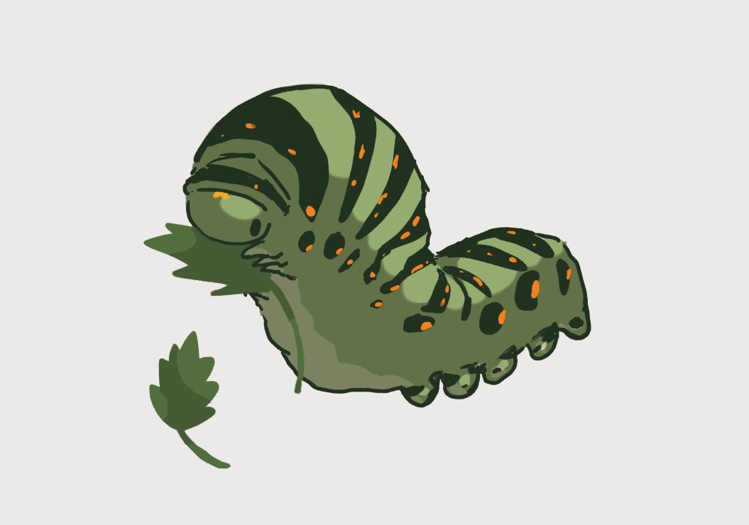 うどん 昆虫垢 Kontyuu Kawaii Twitter