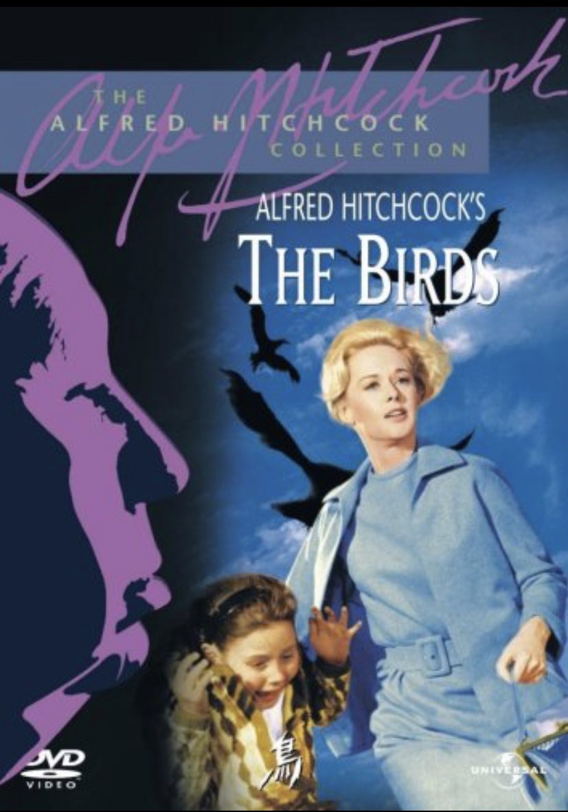 The Isalin Movie Challenge 36 100 鳥 映画記録 ヒッチコック パニック映画 ホラー映画 パイオニア 鳥こわい 鳥きらい 鳥きもい カラスが一番きらい 心臓止まりかけた やっぱりホラー映画は苦手 でも面白かった T Co Kutqxaen5m The Isalin Movie Challenge 36 100 鳥 映画記録 ヒッチコック パニック映画 ホラー映画 パイオニア 鳥こわい 鳥きらい 鳥きもい カラスが一番きらい 心臓止まりかけた やっぱりホラー映画は苦手 でも面白かった T Co Kutqxaen5m
