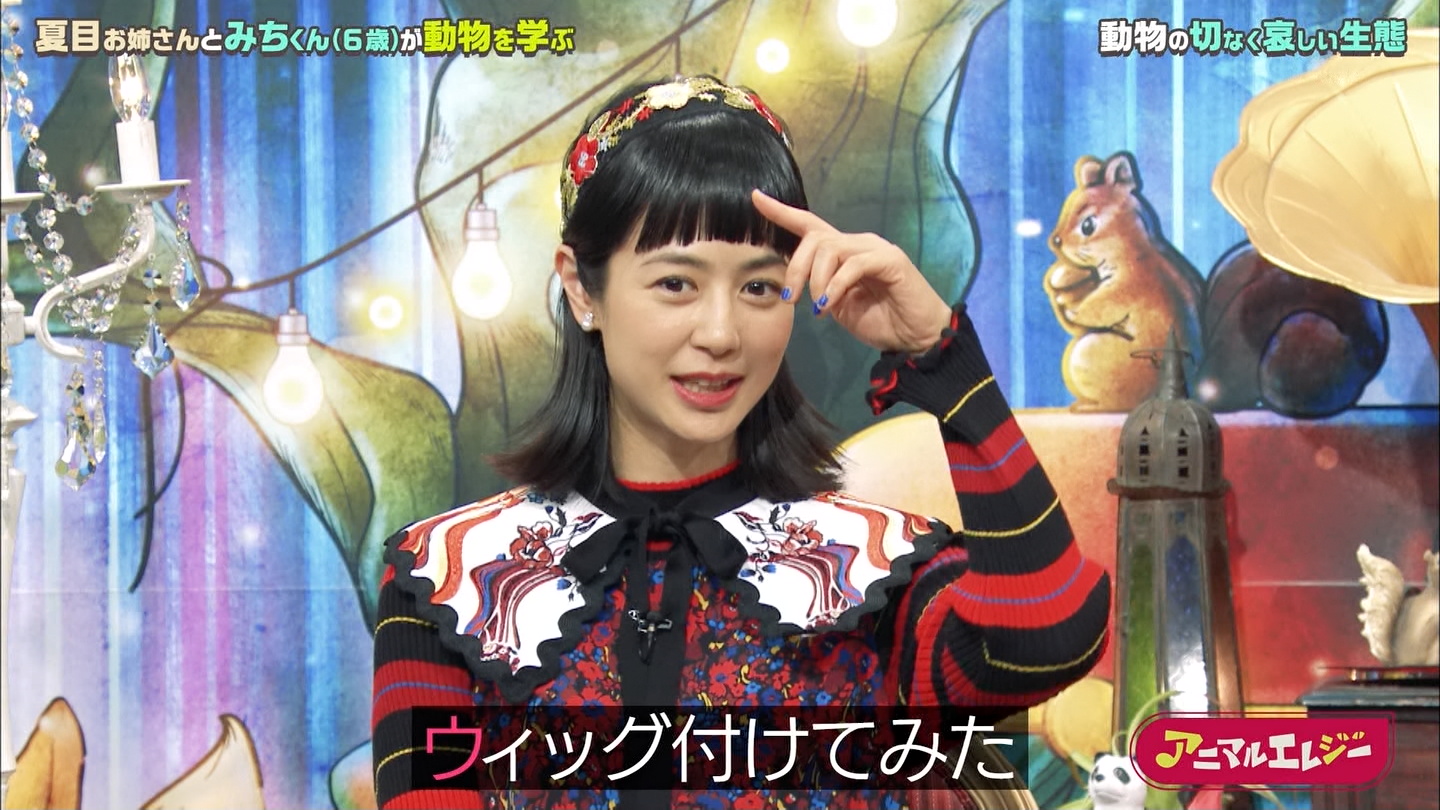 夏目三久　アップ 