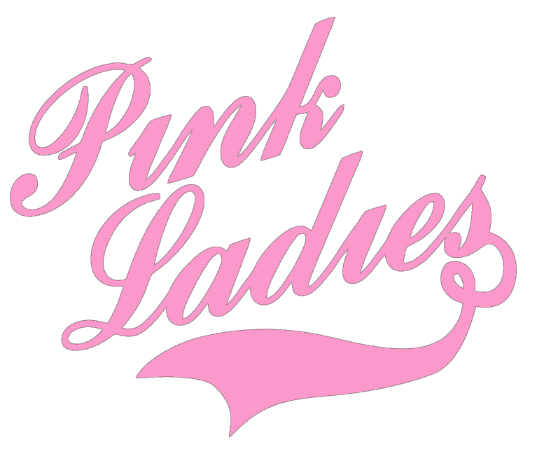 Pink Ladies have decided to close down and with that their mebership at SBA. Thanks #Stampelina and friends for your time in SBA. #pinkladies #SBA