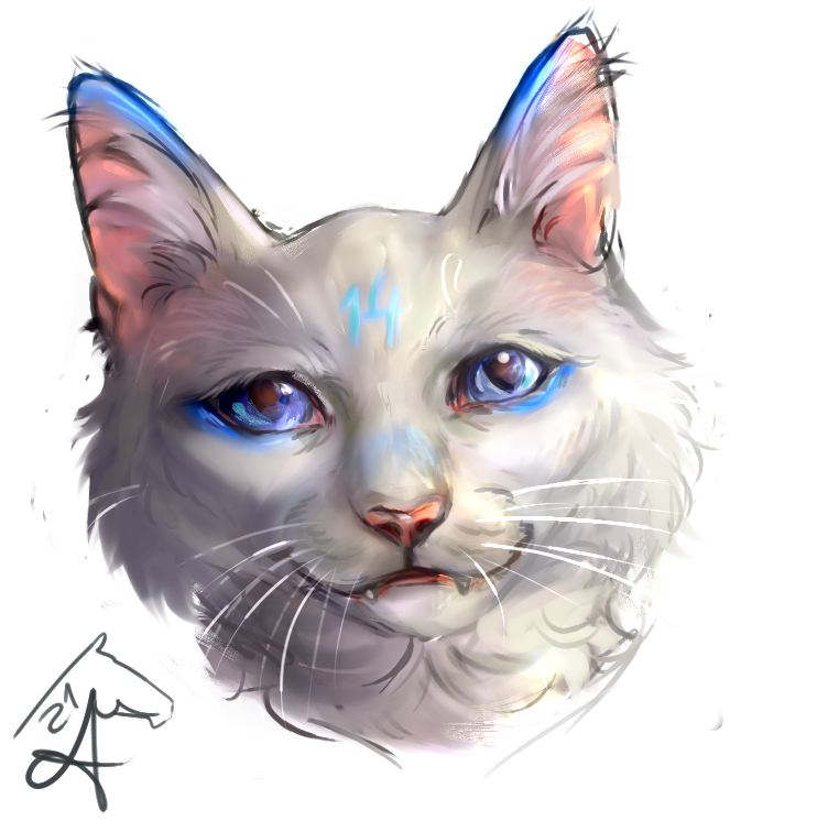 SpartanMandy tweet media