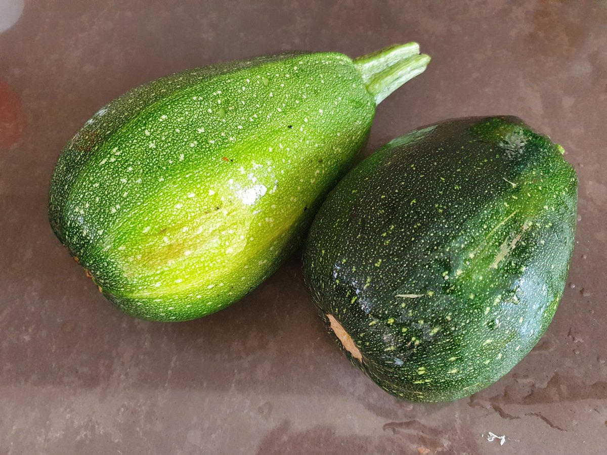 DirmaatGGC's tweet photo. Courgettetijd! Kilo's #courgettes heb ik in de #moestuin Te veel om nu op te eten. Dus maak ik ze in. Vier potten courgette vandaag #inhetzoetzuur #inmaak #conserveren #moestuin #oogsten #groenten https://t.co/jg1hVSCFnj