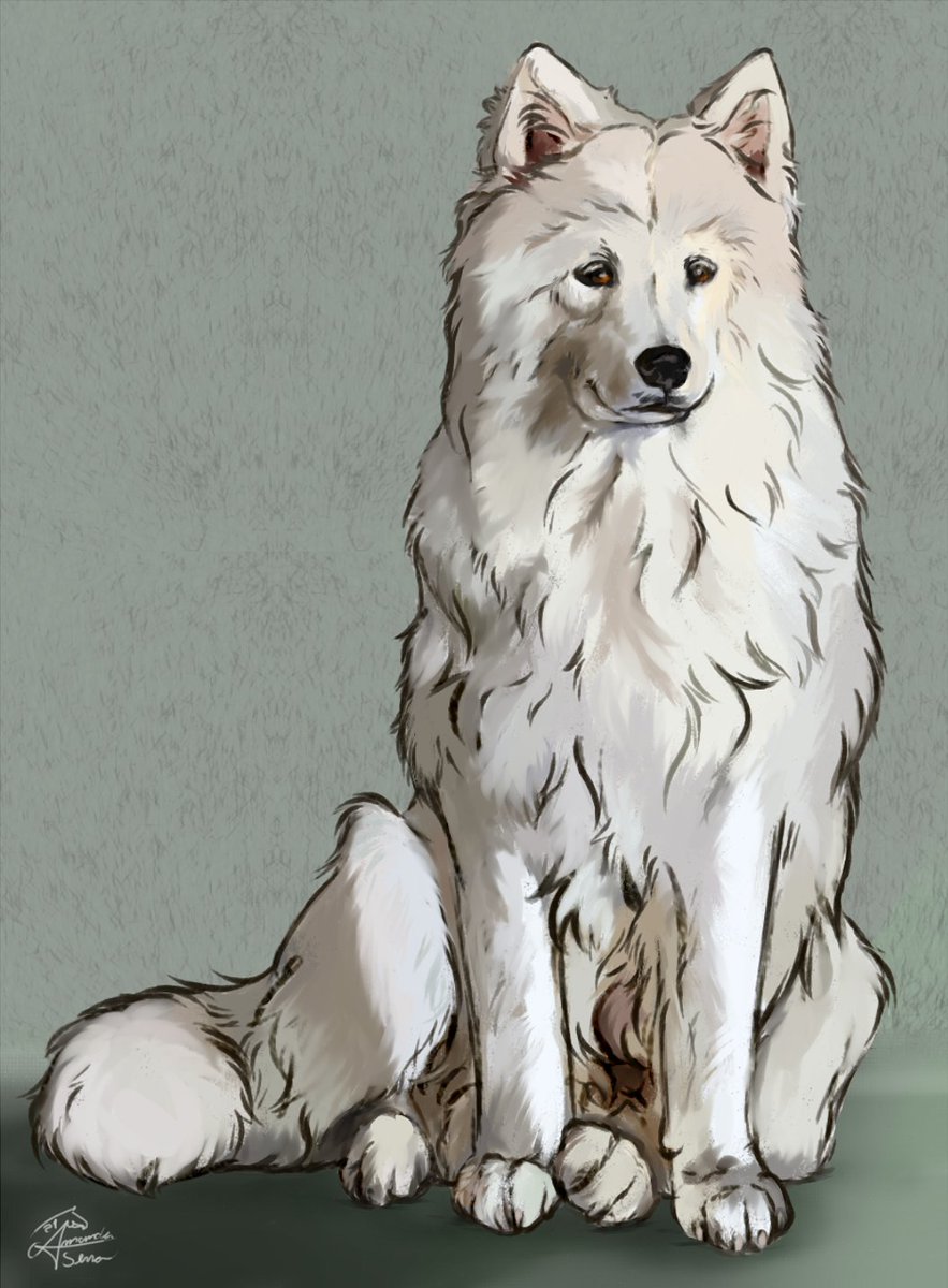 SpartanMandy tweet media