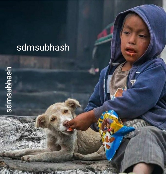 subhashsdm93's tweet photo. I am sure this is the biggest sacrifice you will ever see ❤️❤️❤️❤️
https://t.co/C54qszPvcu https://t.co/wgJdE98ibe