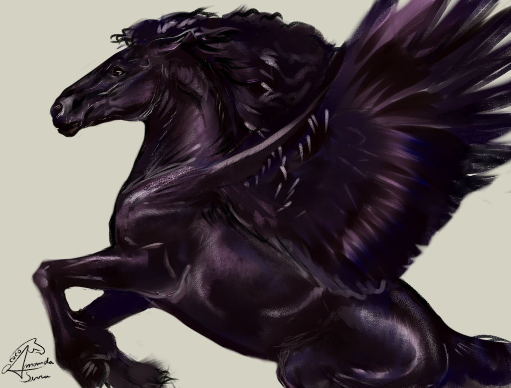 SpartanMandy tweet media