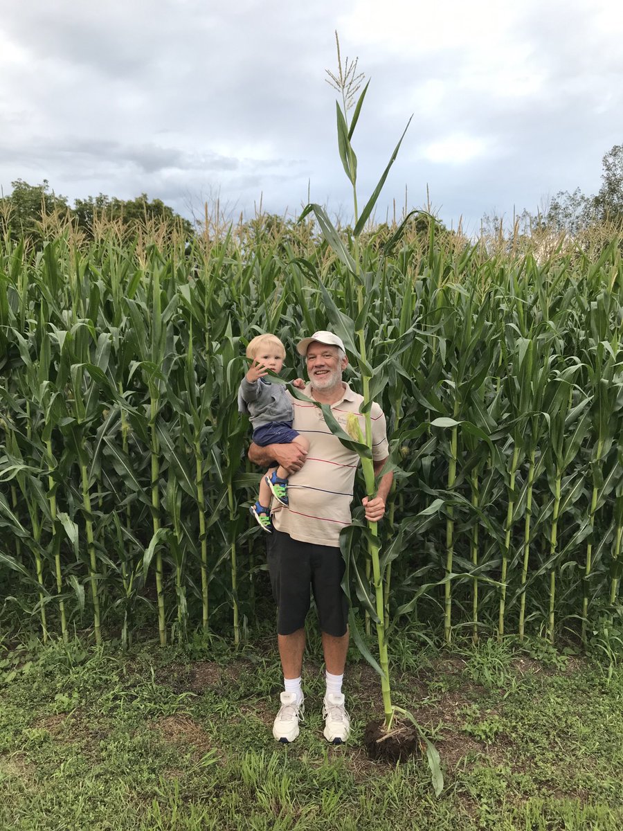 Adrian Lee tweet media