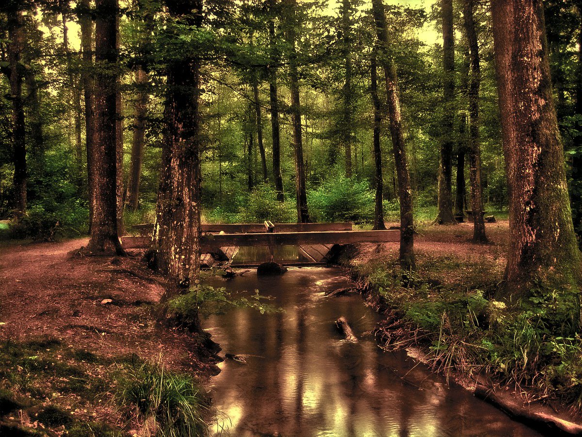 Did you know that when you buy Raging River Coffee, you are helping to give back to the community and the environment?

ragingrivercoffee.com/raging-river-c…

#Coffee #SmallBatch #MicroBatch #Entrepreneur #MunroeFalls #Ohio #GiveBack #FindYourHappiness #FindYourRiver