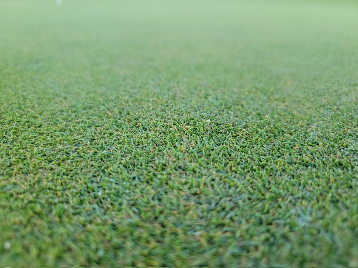 It's been a long and challenging month of July. We've weathered the storms as best we can and have come out the other side in good shape. This weekend is Club Championship and the greens are running firm and fast. Thankful for cool dry weather <a href="/Tnadeau07/">Timothy Nadeau</a>