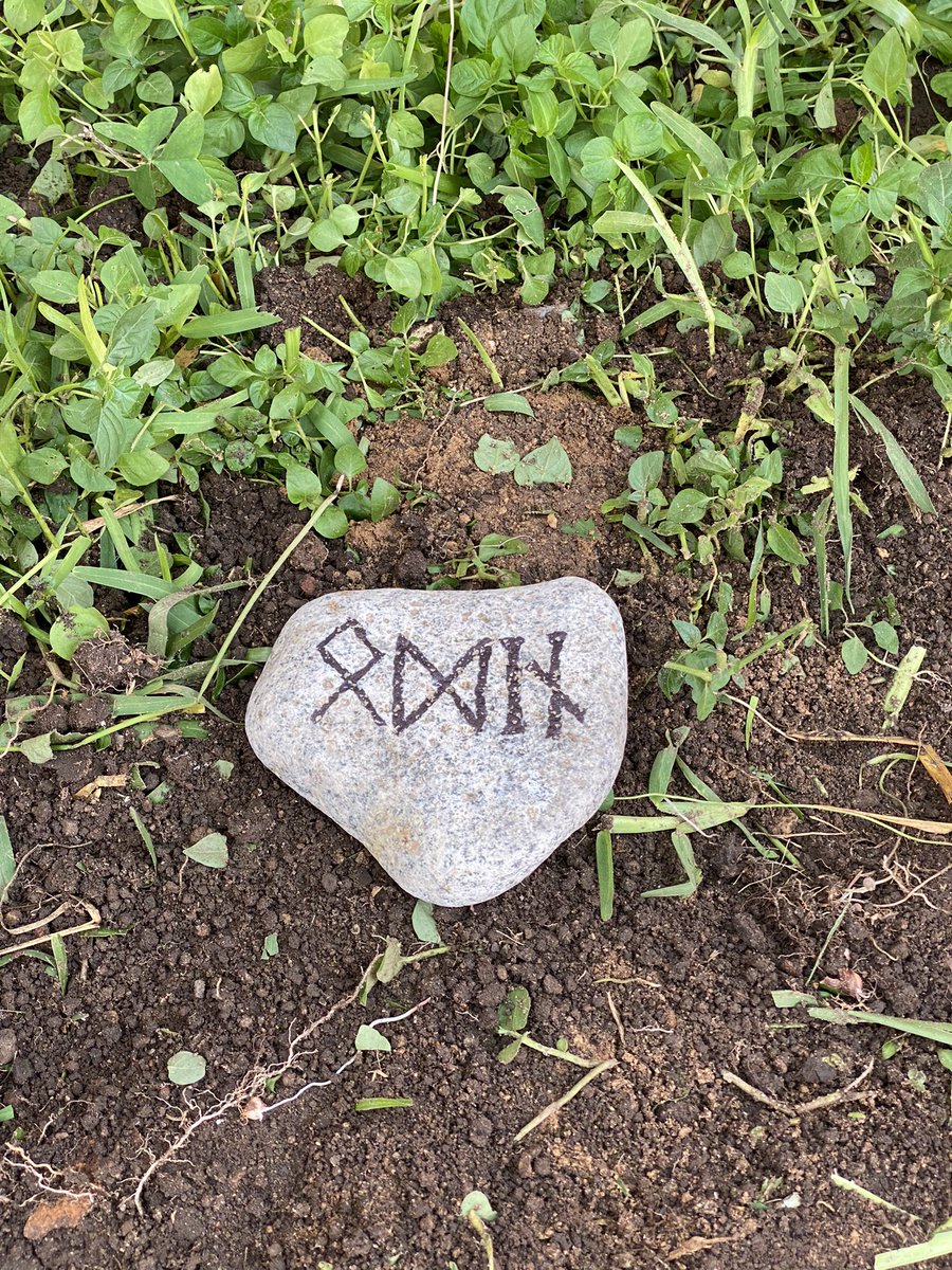 Alexxcobain's tweet photo. Nos veremos pronto en Valhalla amigo 🖤 https://t.co/TI8OQo6ZEE