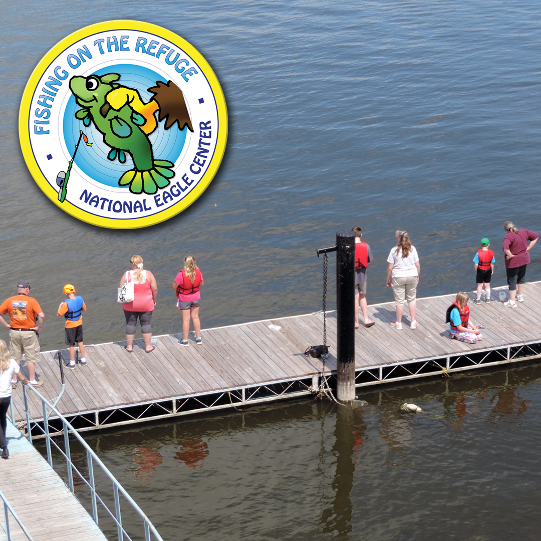 START AUGUST OFF RIGHT WITH SOME FISHING! Tomorrow is August 1st and Fishing on the Refuge will be happening from 10am-3pm at the National Eagle Center! As always, kids ages 15 &amp; under fish for FREE at the National Eagle Center! Join us! 🦅🎣🐟😃👍#OnlyinMN