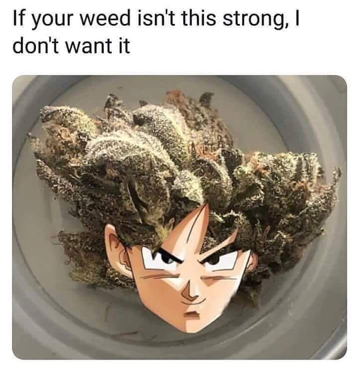 😂😶😎 
#JustSaiyan #CannabisCulture