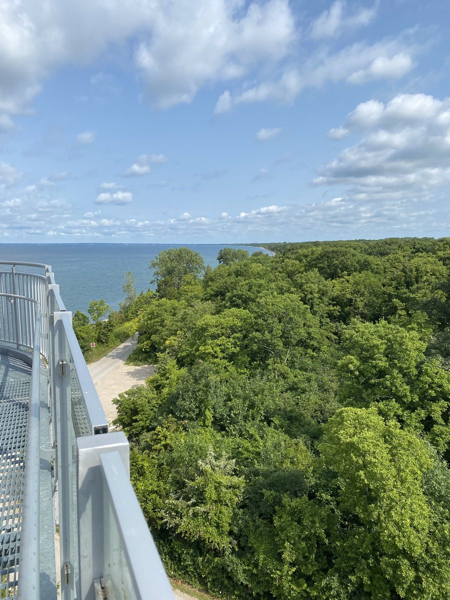 MsRWatson tweet media