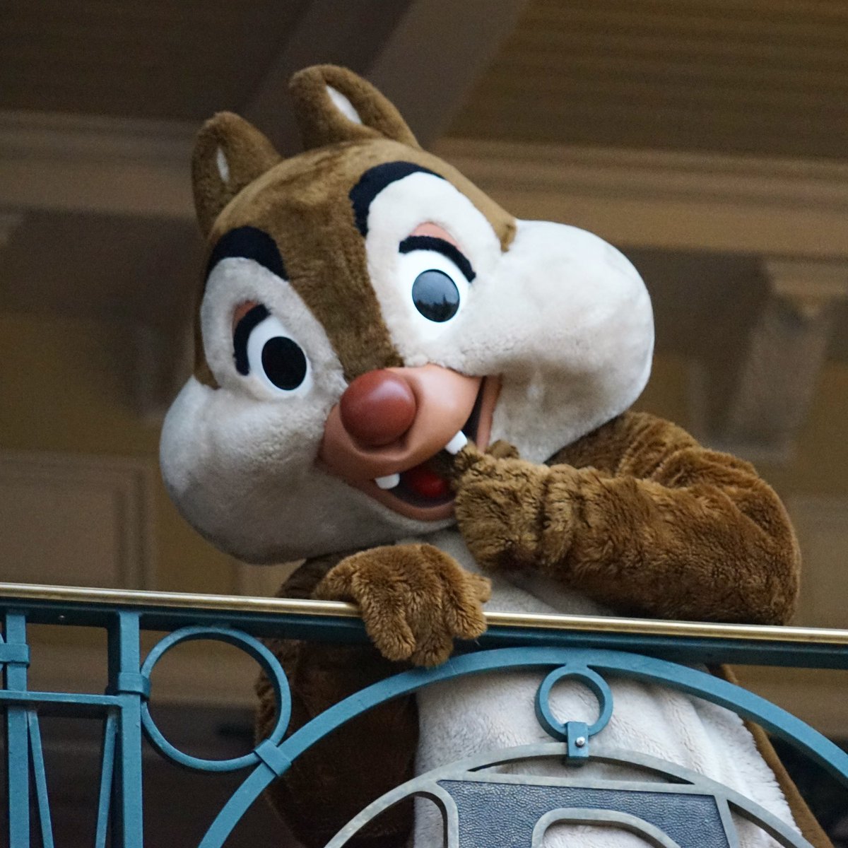 joyceadventures's tweet photo. Dale you,re to cute ❤️#chipndale #chipanddale #dale #daledisney #cutie #disneychipmunks #chipmunks #somuchlove #disneyland #disneygeek #disneyworld #disneyphoto #disneylandparis #disneyparis #disneyparks #disneylandpark #disney #disneylife #disneylove
#disneylifestyle https://t.co/uFa1OZwQWN