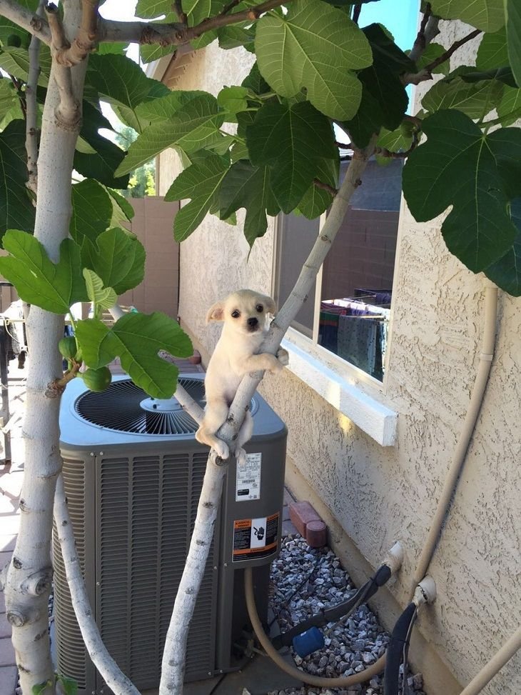 twaniimals's tweet photo. https://t.co/GL8E5uoF1I