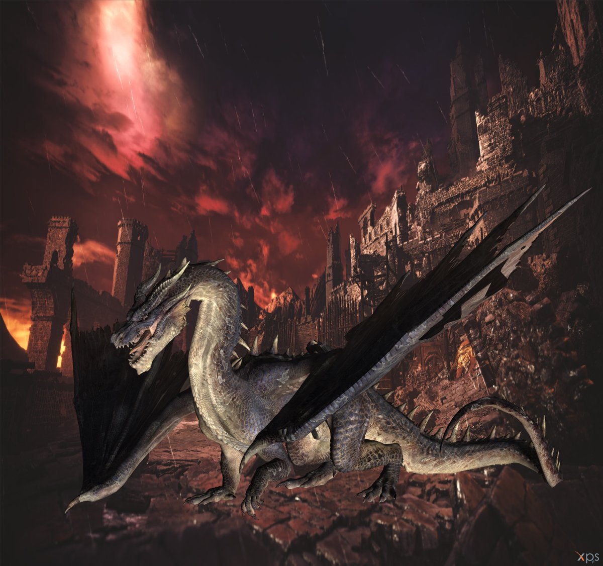 黒龍 Twitter Search