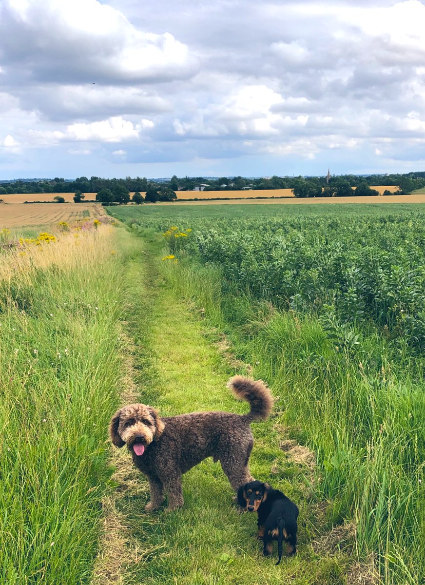 RanieriDog's tweet photo. Me and the pup testing out the Rutland Round…💚🐾 https://t.co/AMxsZWAbqI