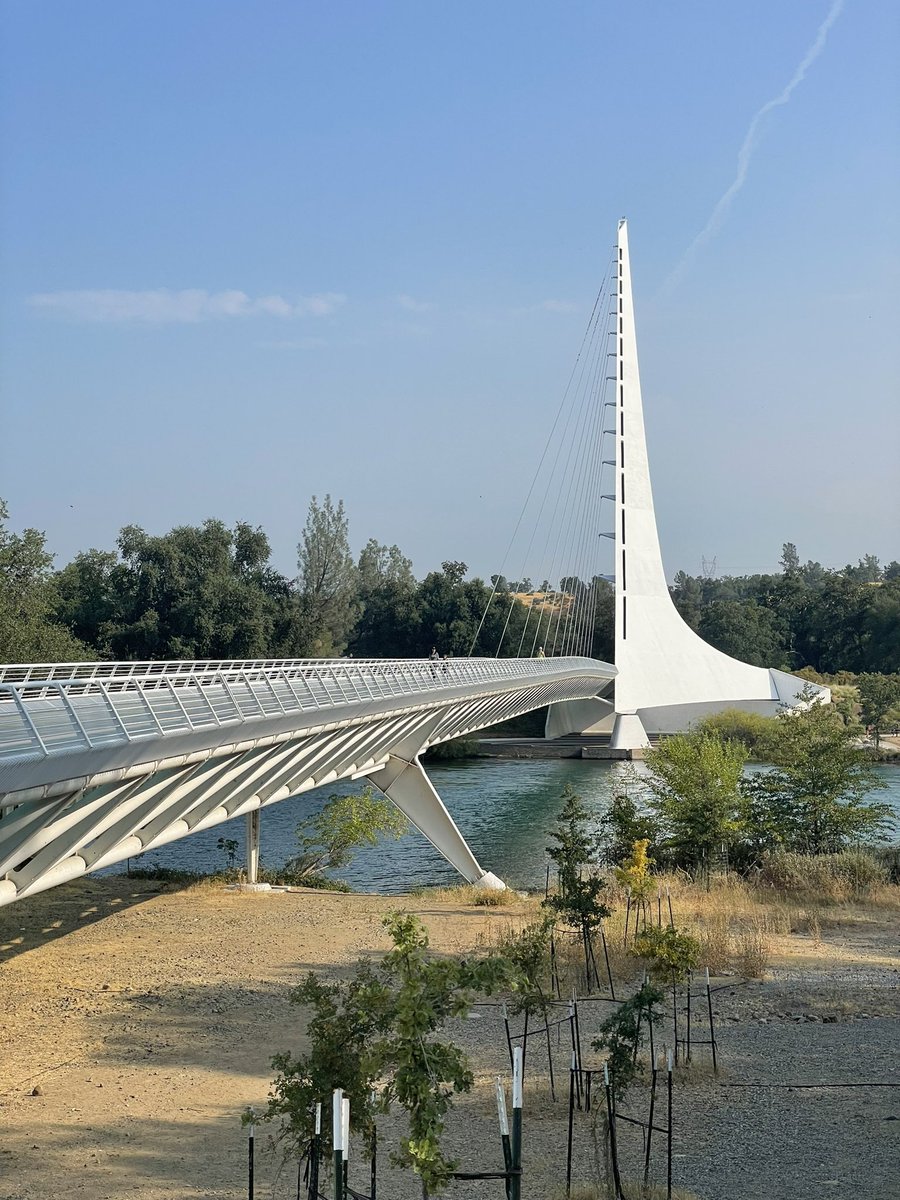 Just Brian tweet media