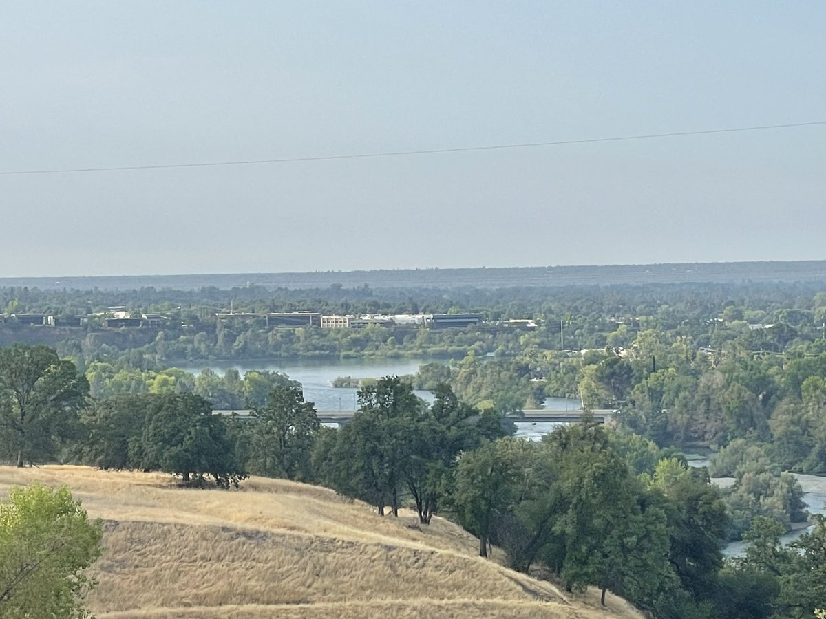 Just Brian tweet media