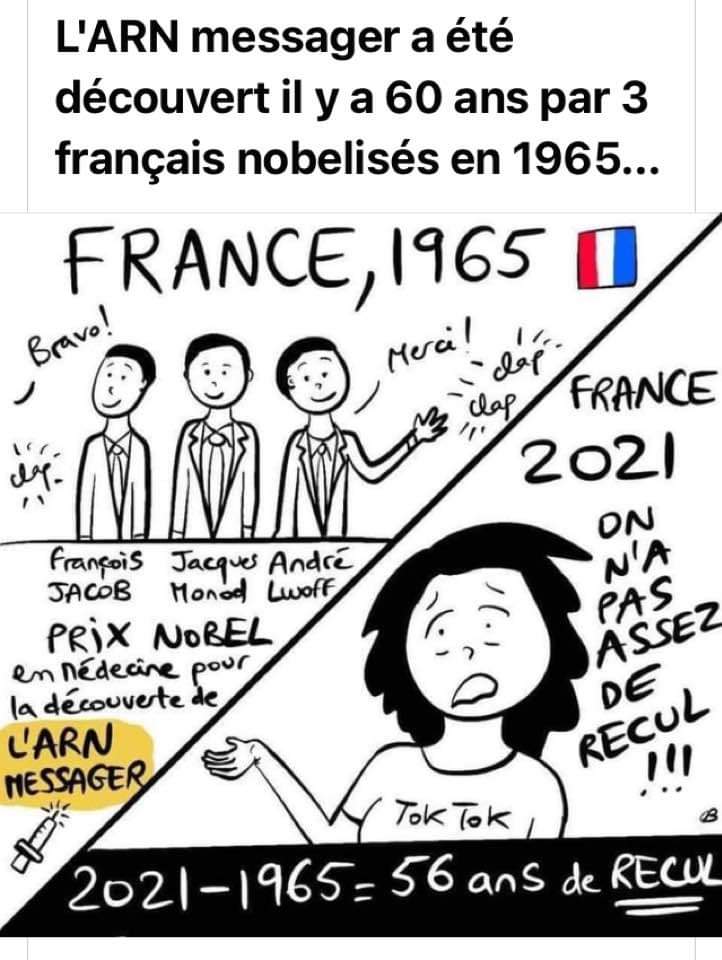 le_pape_alain's tweet photo. Encore une fois c'est pourtant simple à comprendre... https://t.co/nELunLPaD0