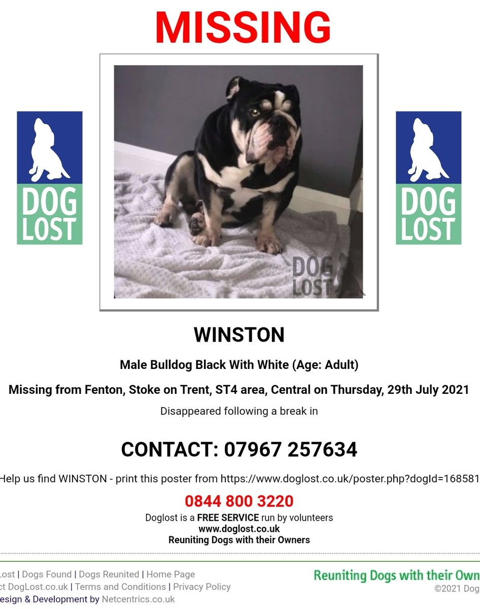 joannew0112's tweet image. @Signal1Official #helpfindWinston  EnglishBulldog. #Missing perhaps Stolen following a break in by 5 masked men at his home in #Fenton ST4 1pm on Thurs 29 July
He needs Urgent Meds!
His Distraught Owner has a tiny baby &amp;amp; limited in Searching... Needs  HELP doglost.co.uk/dog-blog.php?d…
