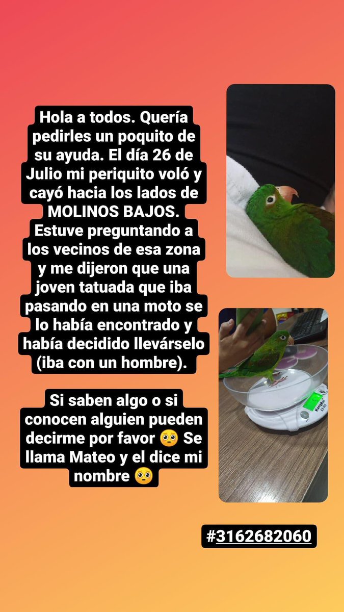 Holaaaaa a todos 🥺🧚

Oigan, yo de verdad quiero encontrar a Mateo(es media vidita mía ahí donde lo ven.) En la imagen está la información que tuvimos hace dos días y quizás por las redes sea posible llegar a los jóvenes que lo encontraron.  
RT RT RT RT RT RT RT RT RT RT RT.