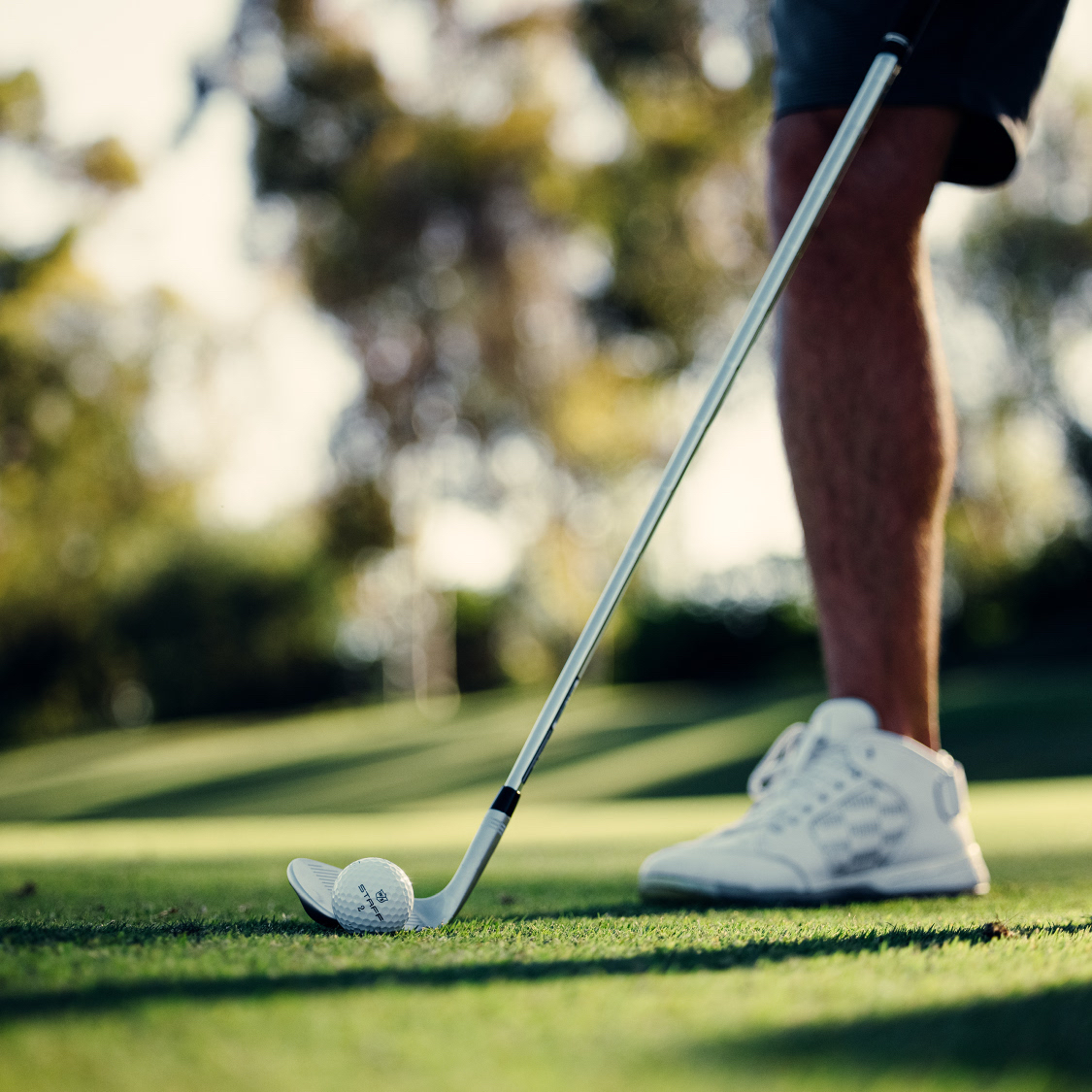 WilsonGolf's tweet photo. Sittin’ pretty

#StaffModel https://t.co/8Xwy15WDAn