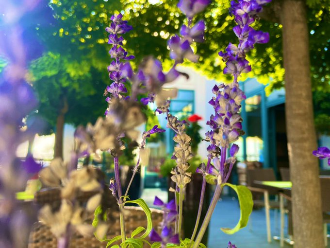 Some pics I took yesterday. https://t.co/As08h2XYdc