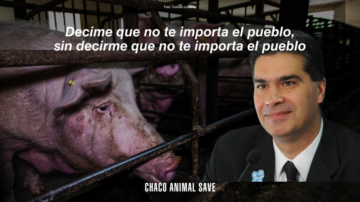 chacoanimalsave's tweet photo. Recursos como el agua que tendrían que destinarse a las comunidades, escuelas, pueblos y barrios que no tienen, lo destinan a un lugar lleno de muerte. El único beneficiario acá es China, nosotros nos quedamos con la gripe porcina, contaminación y destrucción del suelo. https://t.co/cOTgjYzFYQ