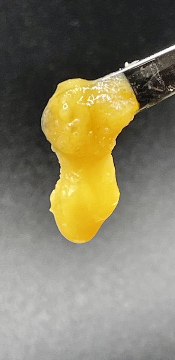 ArCannaMichigan's tweet photo. Peep this Duct Tape live resin from Rkive labs  . This cross is between GG#4 and Do-Si-Do.

 #concentrate #surfing  #michigancannabis #michiganmarijuana #michiganmade #michigangrown #cannabis  #hydroponics #farmlife #Arcanna 

 *NOTHING FOR SALE, FOR EDUCATIONAL PURPOSES ONLY* https://t.co/uuy5yjwj7E