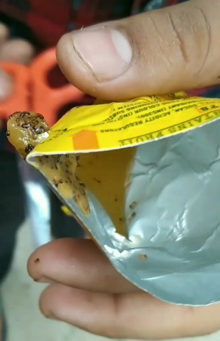 Nishant Ruhela tweet media