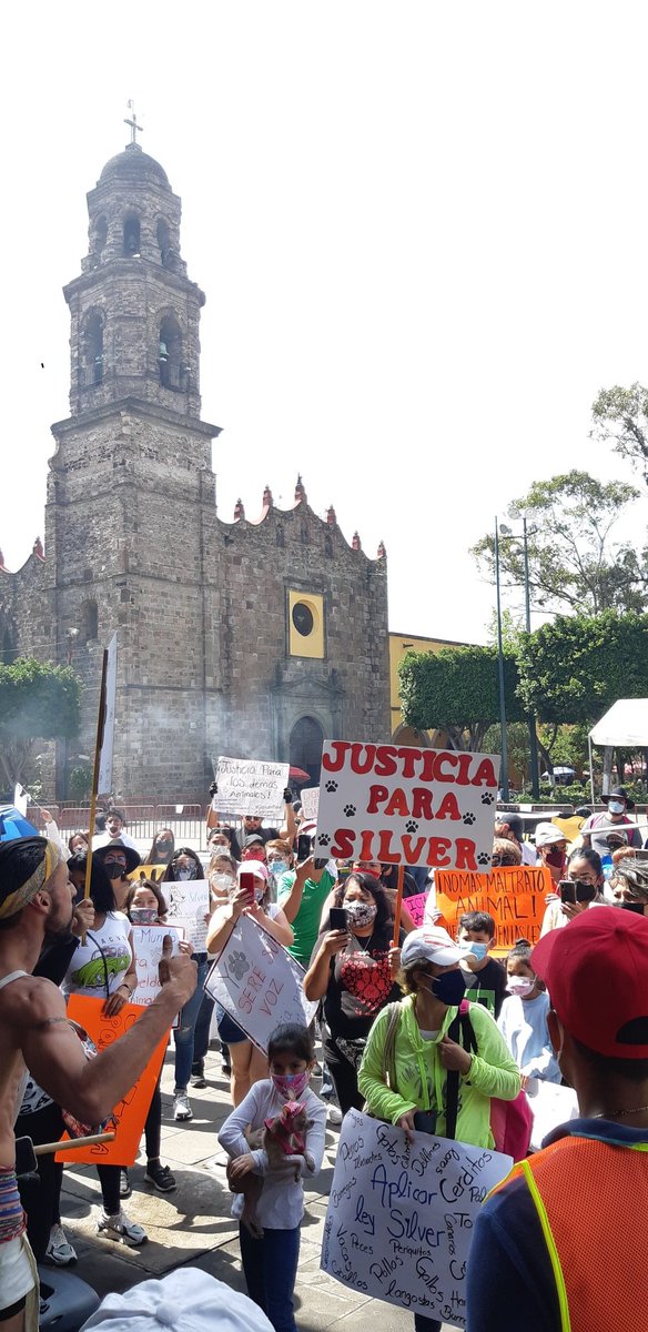 WendyPriGG's tweet photo. Marchamos junto a las cenizas de Silver para exigir
 #JusticiaParaSilver 
#JusticiaEnTlalne #NoAlMaltratoAnimal 
#justicia https://t.co/diTIVkOiMa